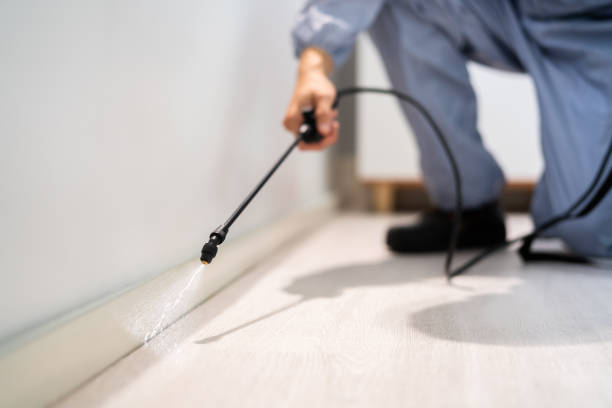 Licensed Pest Control service in Southport, CT - Show Me Pest Control