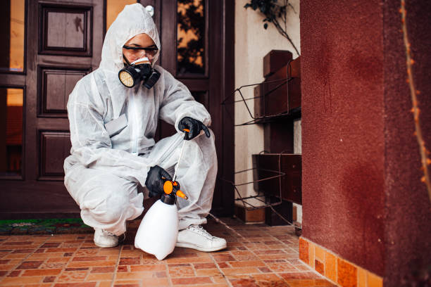 Reliable Wasp Removal contractor in Southport, CT by Show Me Pest Control